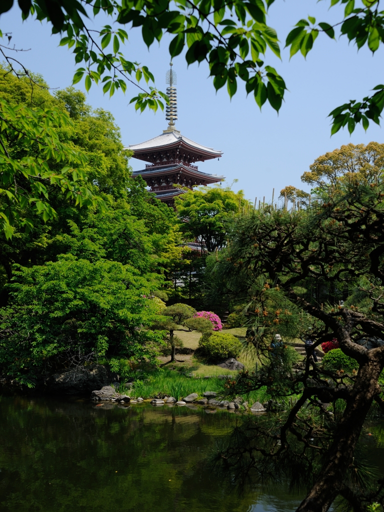 新緑に囲まれる伝法院