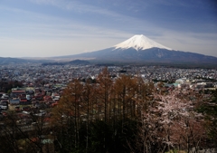 新倉山浅間神社から望む