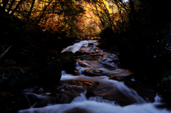 紅葉も溶ける滝