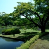 水辺の木陰に涼もとめ