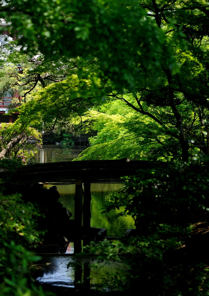 新緑に囲まれる伝法院