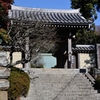 待ちどうしい梅　浄妙寺