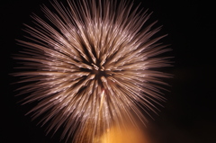Fireflower