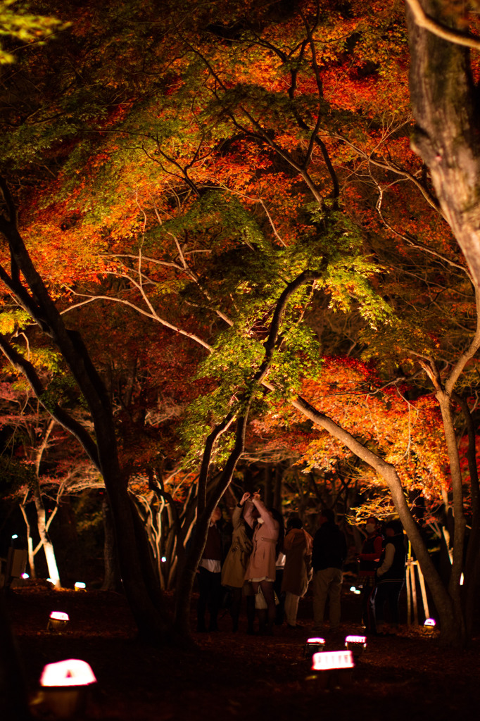 Autumn colors 3