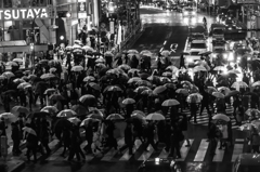 Umbrellas at Shibuya