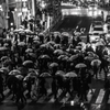 Umbrellas at Shibuya