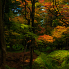 Autumn colors 1