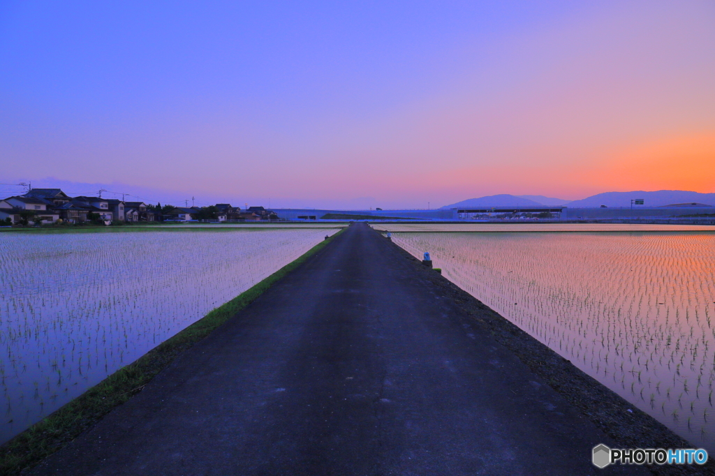 田んぼ道