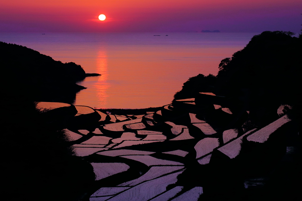 浜野浦棚田の夕日