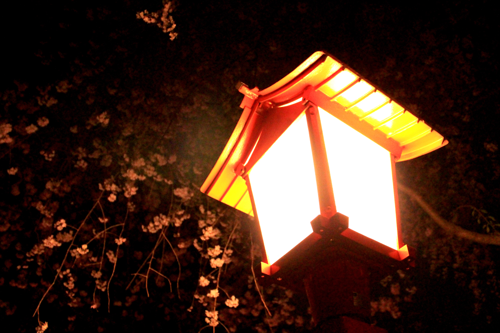初春にて…夜の灯籠