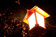 初春にて…夜の灯籠
