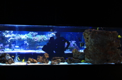 水族館にて…