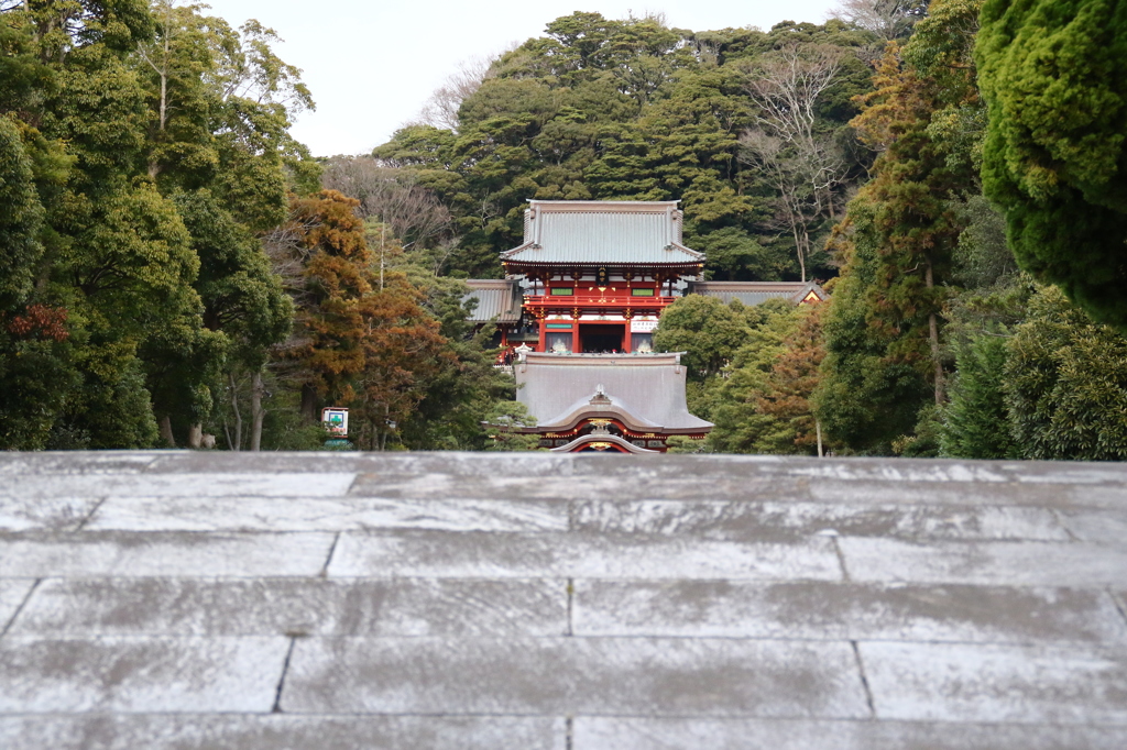 いざ、鶴岡八幡宮