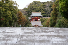 いざ、鶴岡八幡宮