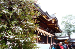 謹賀新年　寒川神社初詣