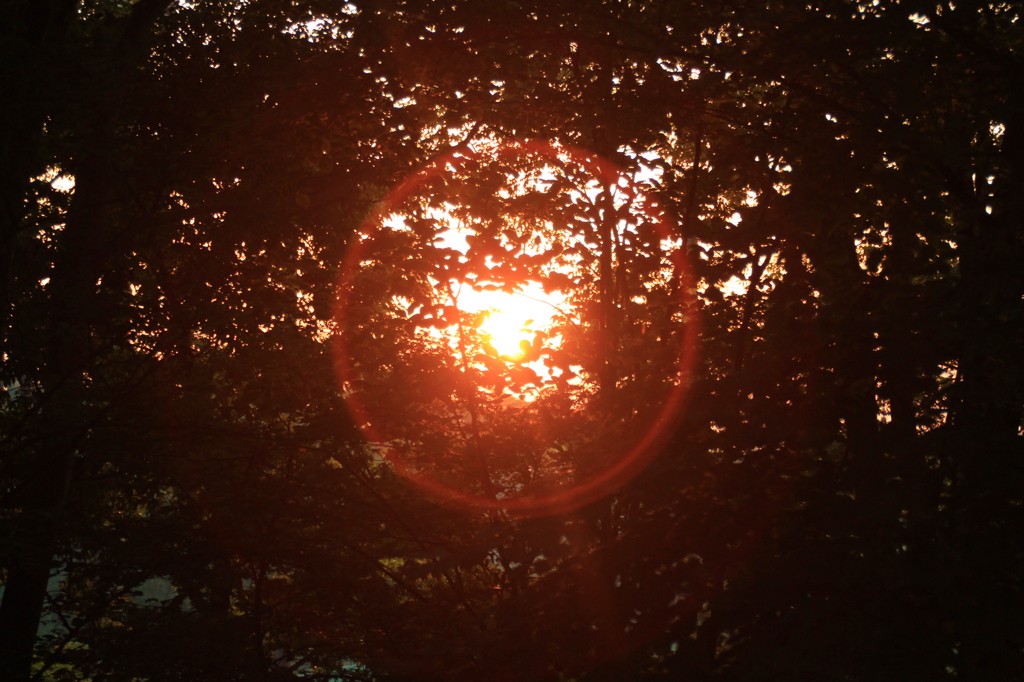 夕日の輪