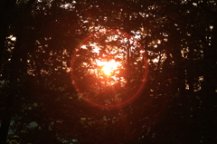 夕日の輪
