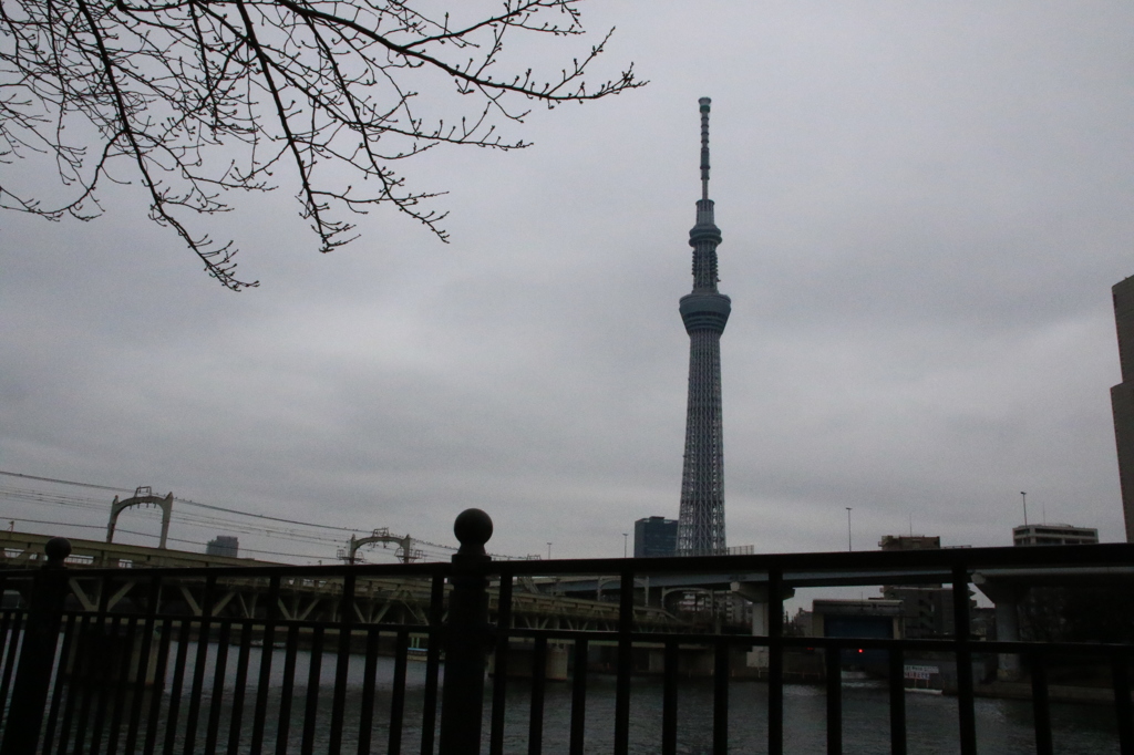 桜咲く頃に再び…