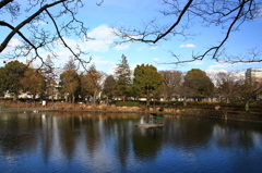 鹿沼公園