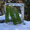 Frozen