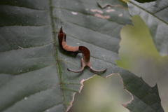 顔は隠したけれども・・・・