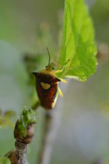 ハートマーク♡