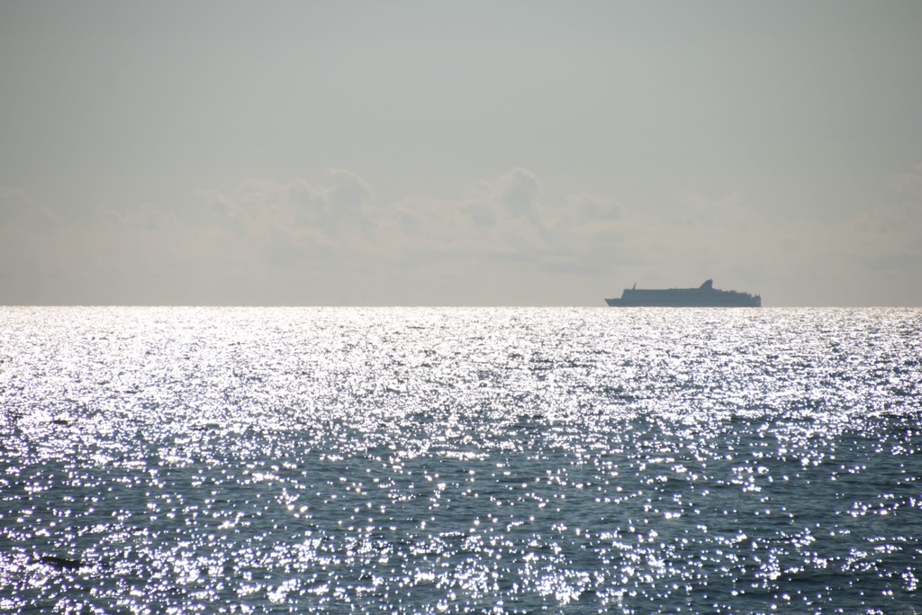 日本海RUN