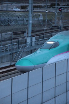 やっと撮れたぁ！