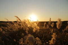 沈む夕陽に照らされて