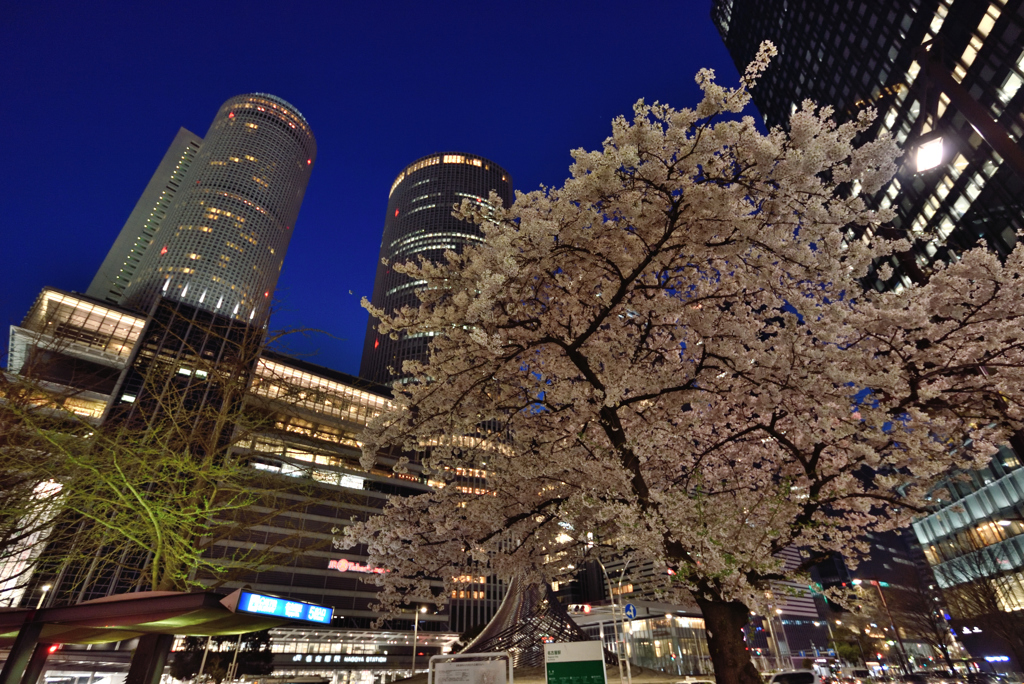 春の名駅