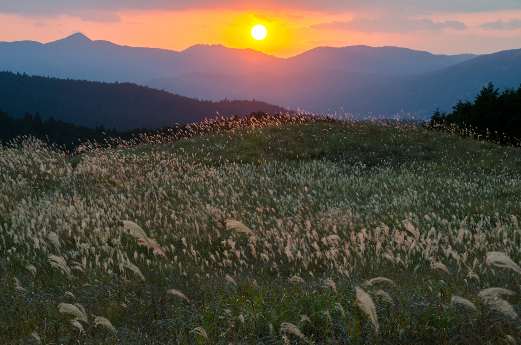 夕日に照らされ