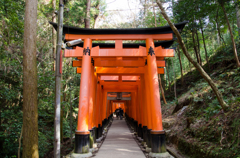 いざ鳥居へ