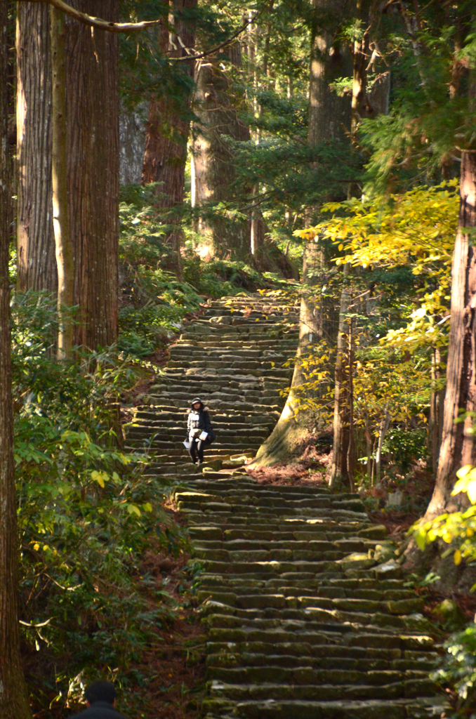 熊野古道　大門坂