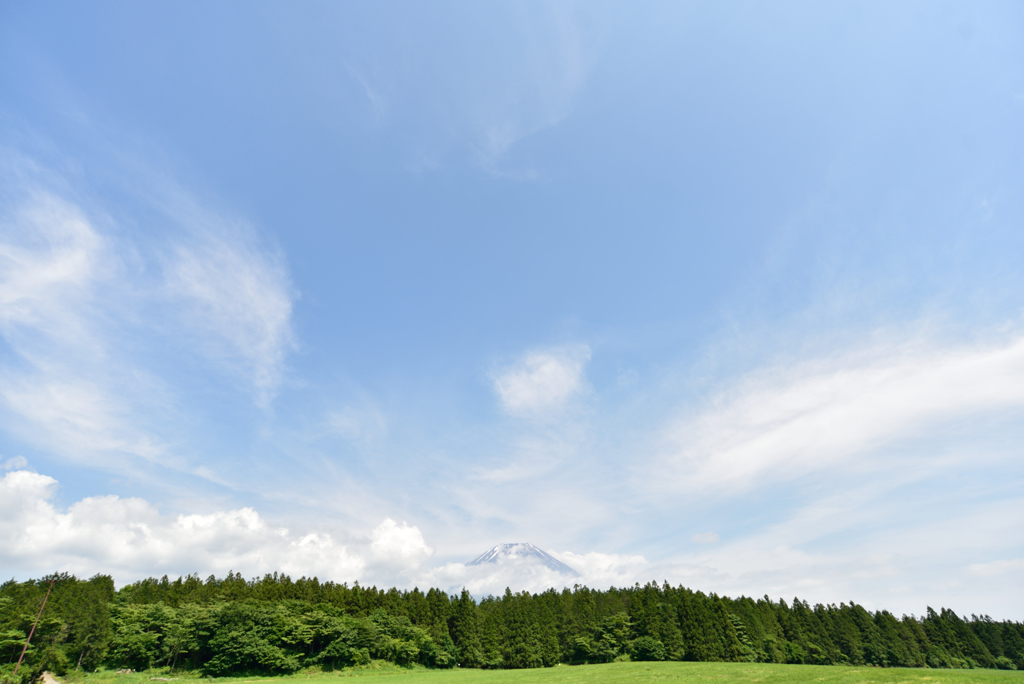 富士山