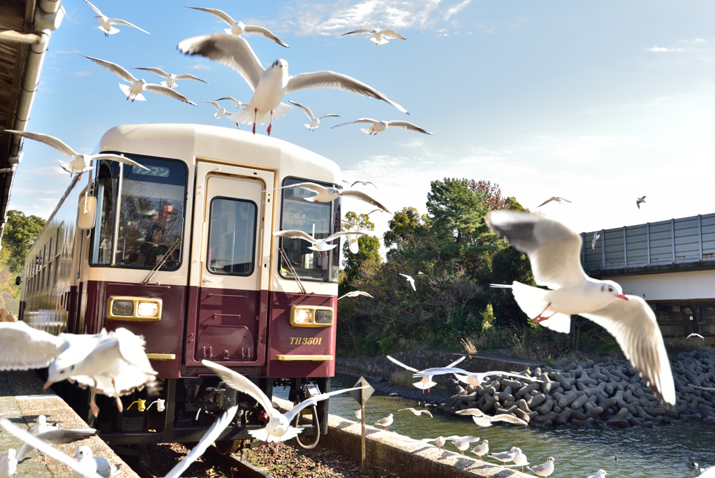 鳩駅