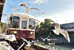 鳩駅