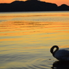中海夕景