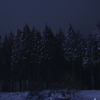 雪降る夜に