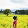 菜の花畑のキミ