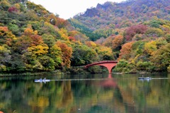 優雅に