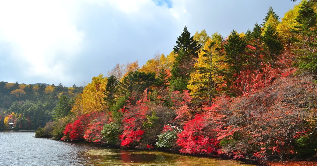 紅葉