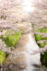 花かがみ