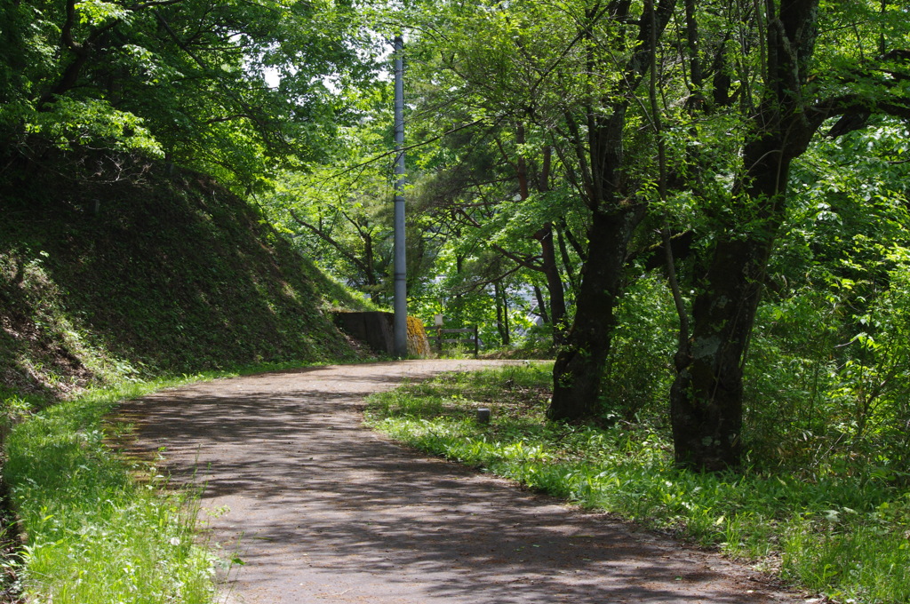 IMGP2669