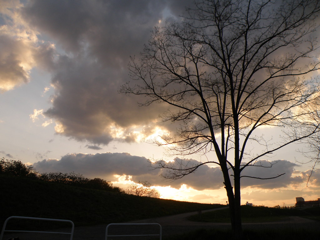 夕焼け