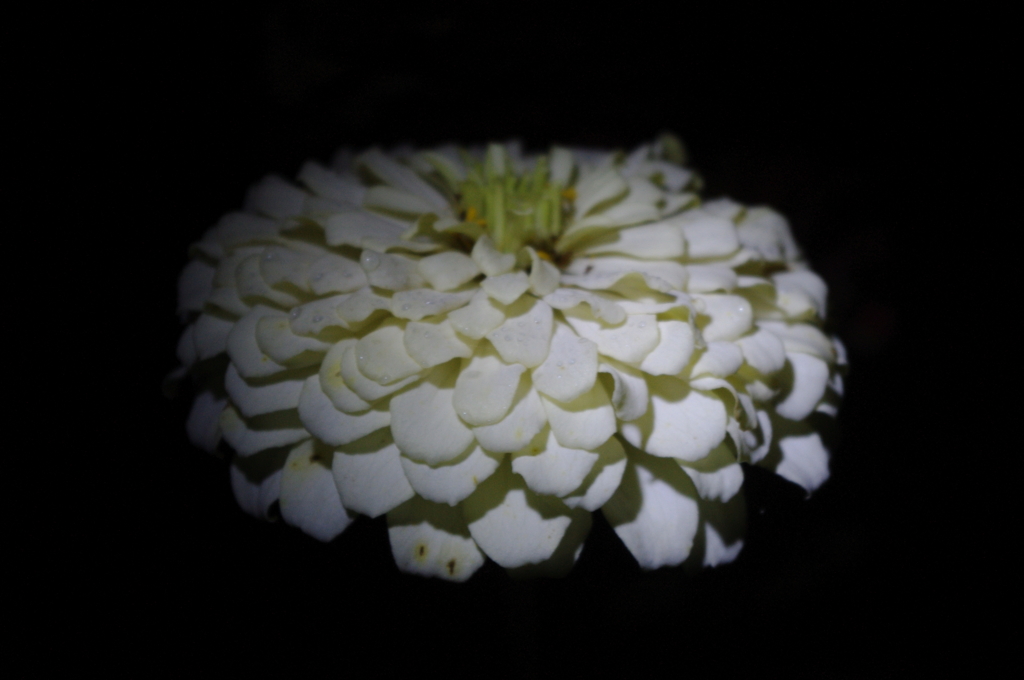 IMGP3583