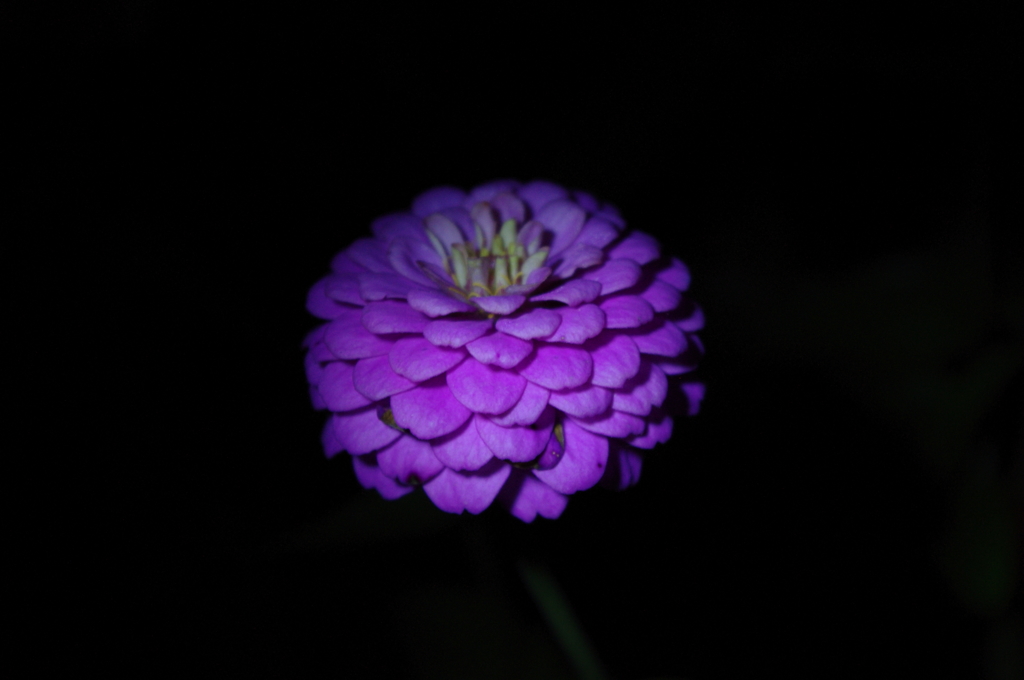 IMGP3577