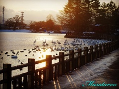 高松の池の夕日