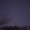 林からの星空