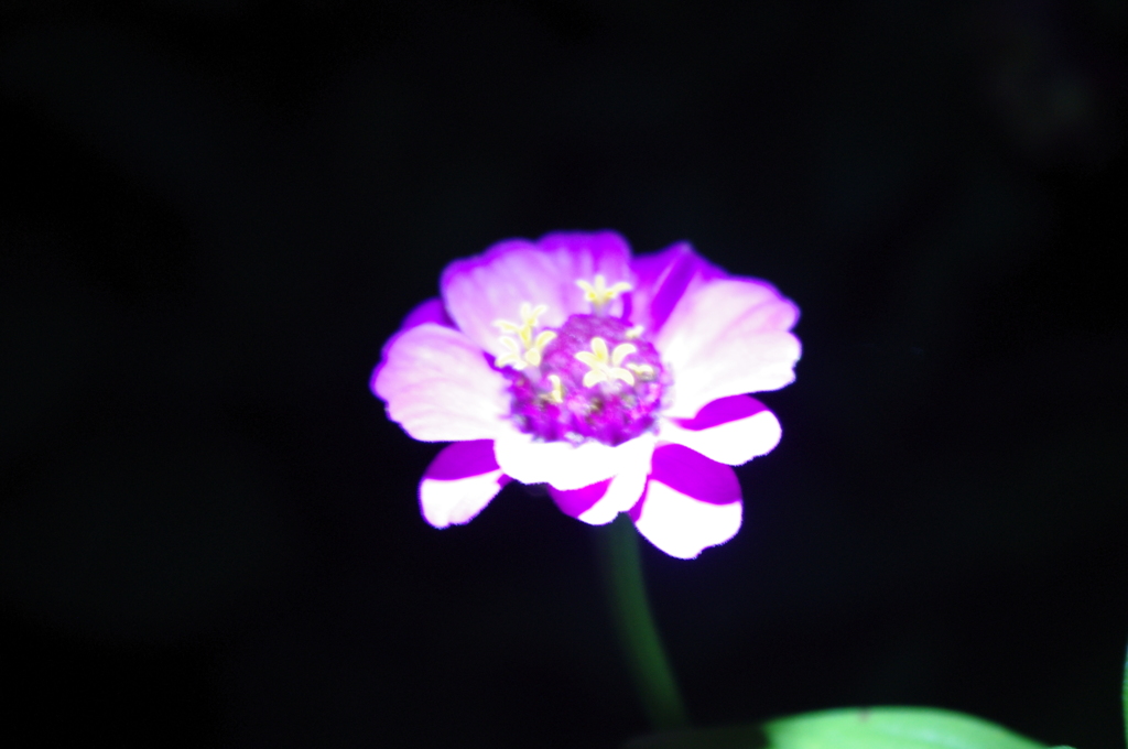 IMGP3582