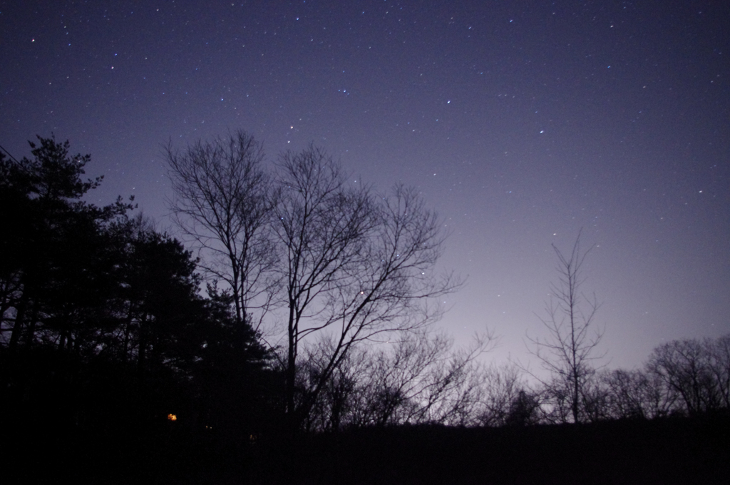 林と星空